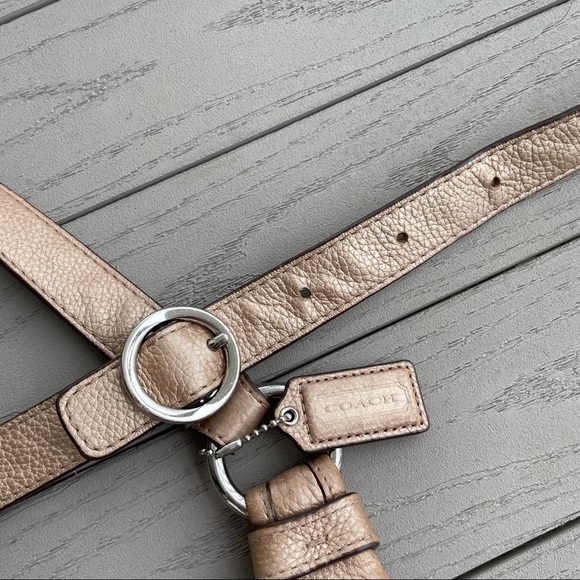 Coach Penelope Crossbody Bag Pewter Pebble Leather F16533 - Picture 11 of 14